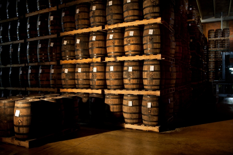 barcelo-gallery-3